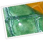 Particolare art.07