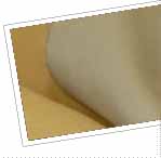 Particolare art.12
