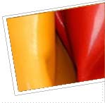 Particolare art.17